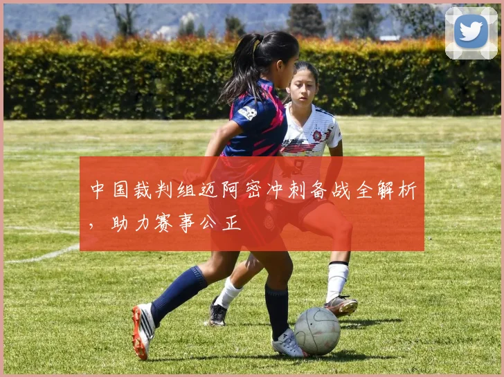 中国裁判组迈阿密冲刺备战全解析,助力赛事公正