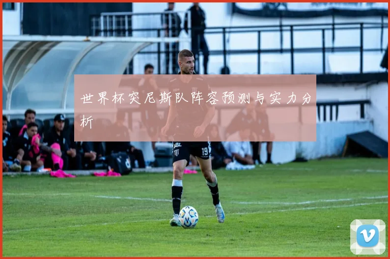 世界杯突尼斯队阵容预测与实力分析