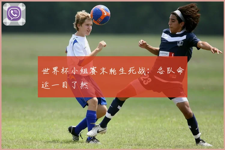 世界杯小组赛末轮生死战：各队命运一目了然
